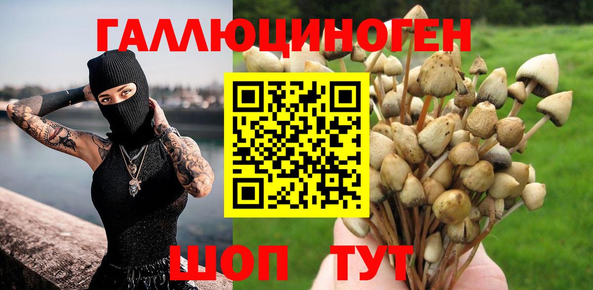 Щёлково  Галлюциногенные грибы мухоморы  Вход с VPN 