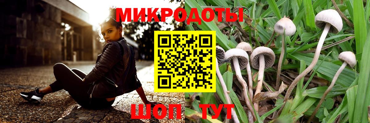 Галлюциногенные грибы Psilocybine cubensis Щёлково